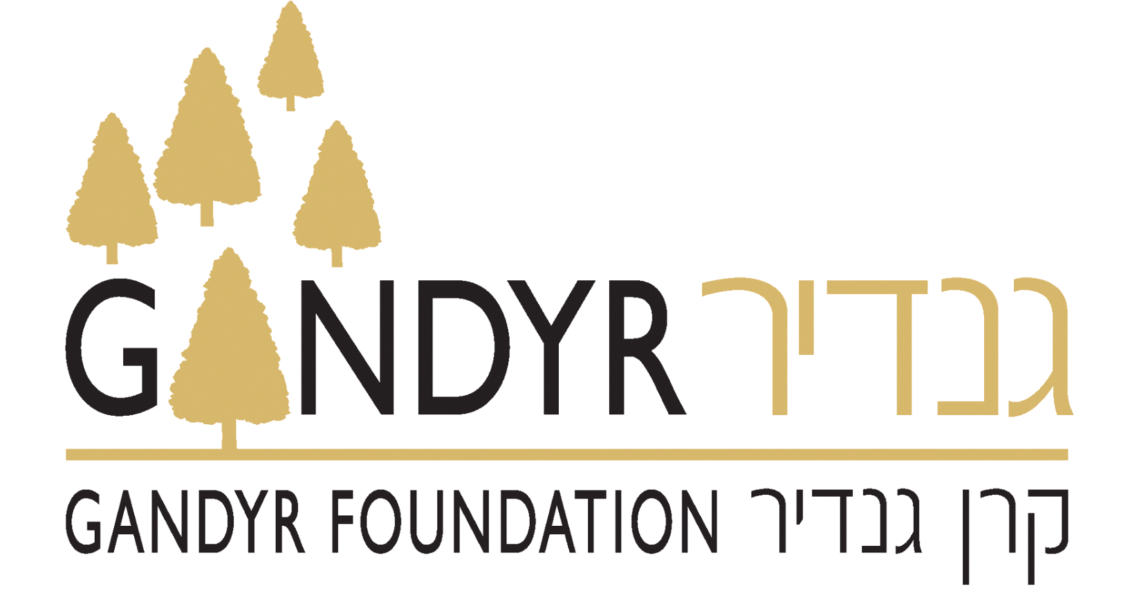 הלוגו של ארגון קרן גנדיר